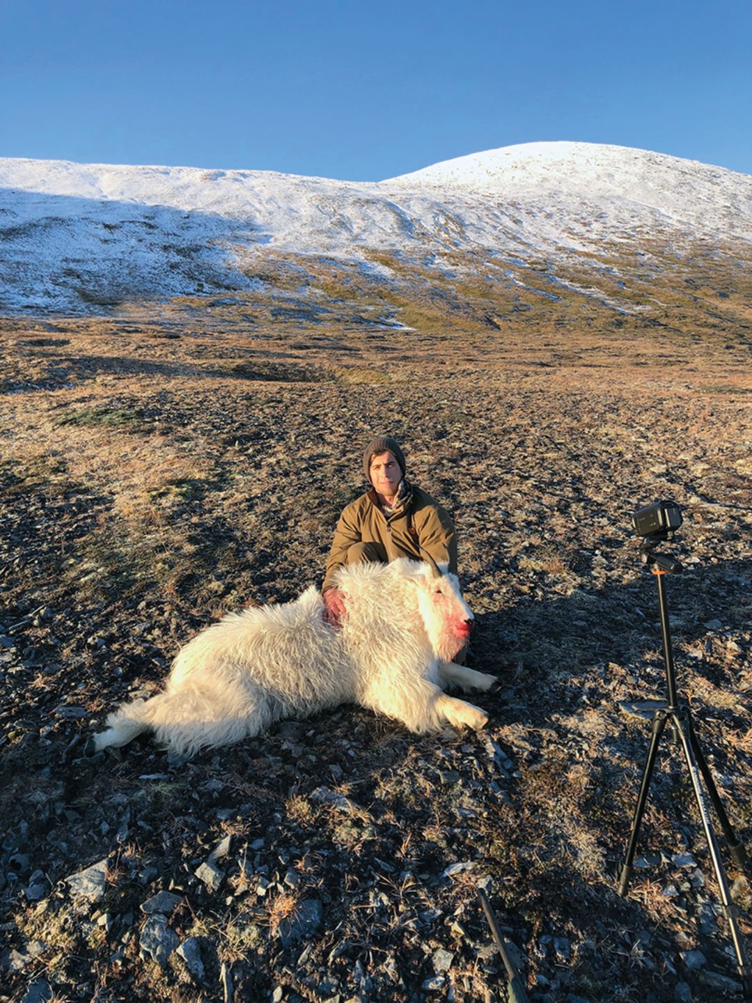 Drew shot this mountain goat and couldn’t be happier.